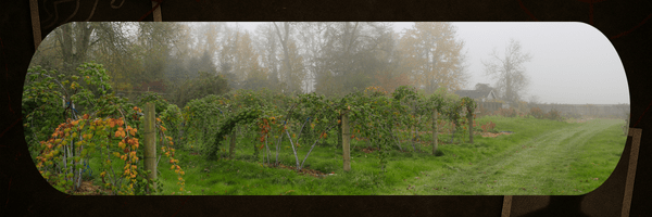 Le corps d’une femme retrouvé enterré dans son&nbsp;jardin