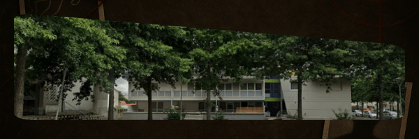 Un homme tué à coups de couteau, sa compagne en garde à&nbsp;vue