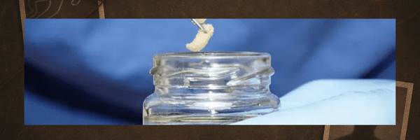 Les insectes, ces témoins silencieux du&nbsp;meurtre